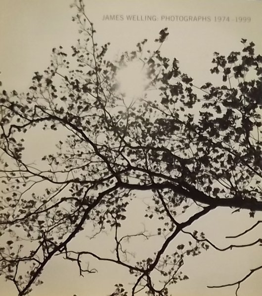 Rogers-Lafferty, Sarah  Welling, James / Fried, Michael - James Welling / Photographs 1974-1999