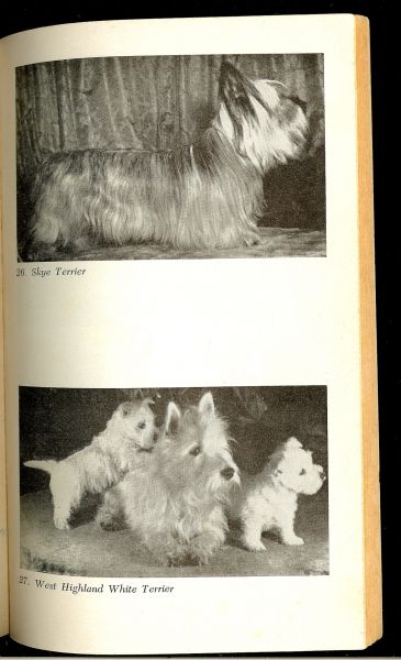 Rheenen van Jan.... De hond,zijn herkomst en afstemming - Prisma honden boek  .. Hond en mens, de welp: geboorte en verzorging...een en ander over verzorging