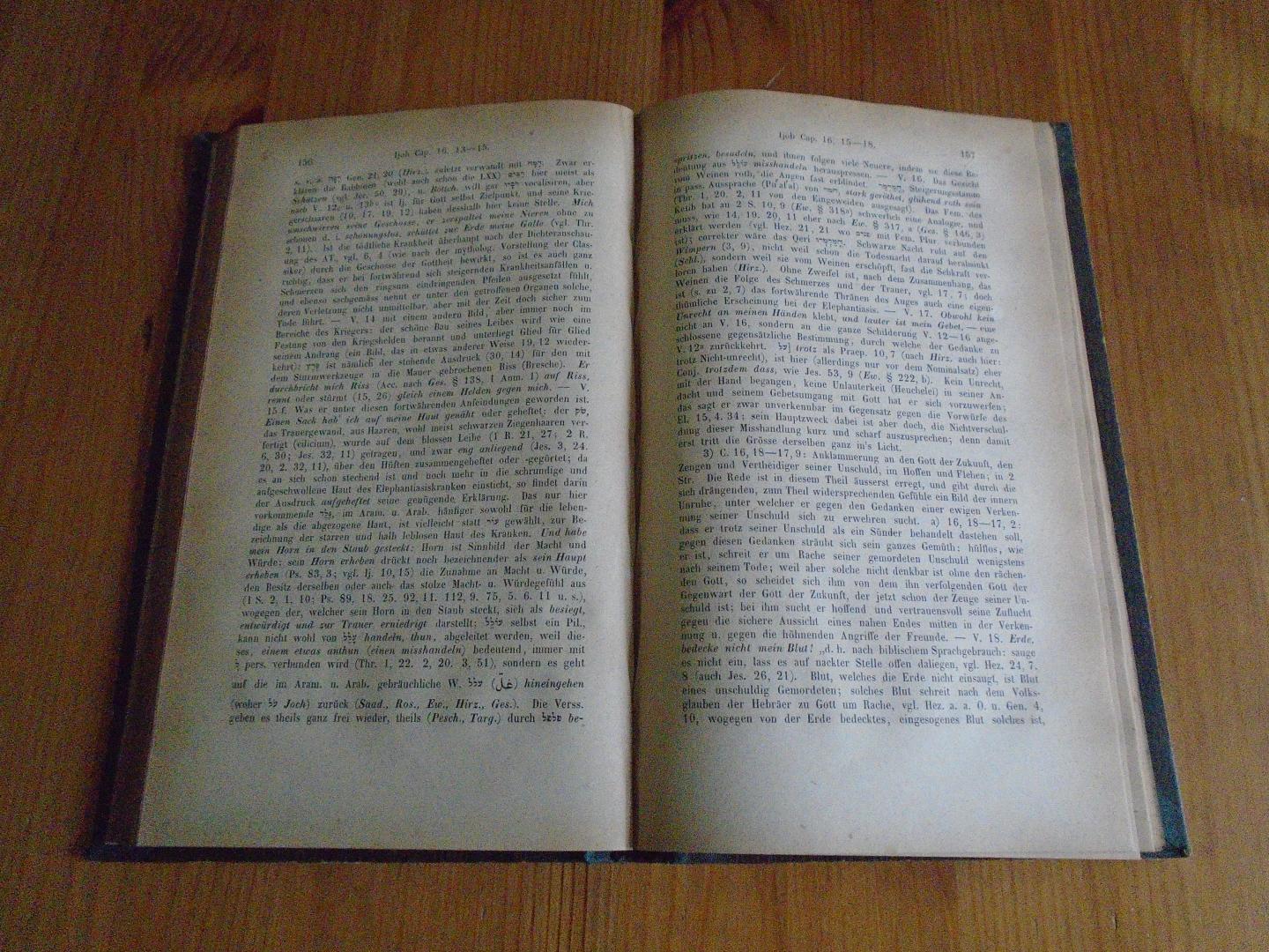 Dillmann, August - Hiob. Für die dritte Auflage nach L. Hitzel und J. Olshausen neu bearbeitet von August Dillmann