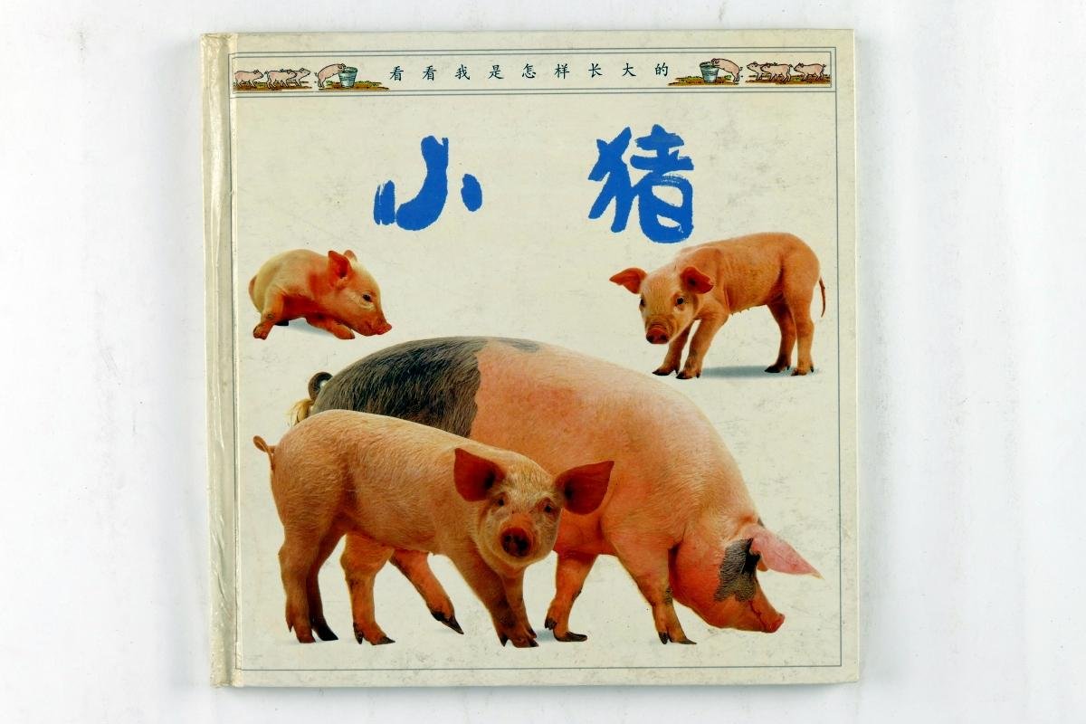 Ling, Mary - See how they grow: pig (Chinese versie!) ( 3 foto's)