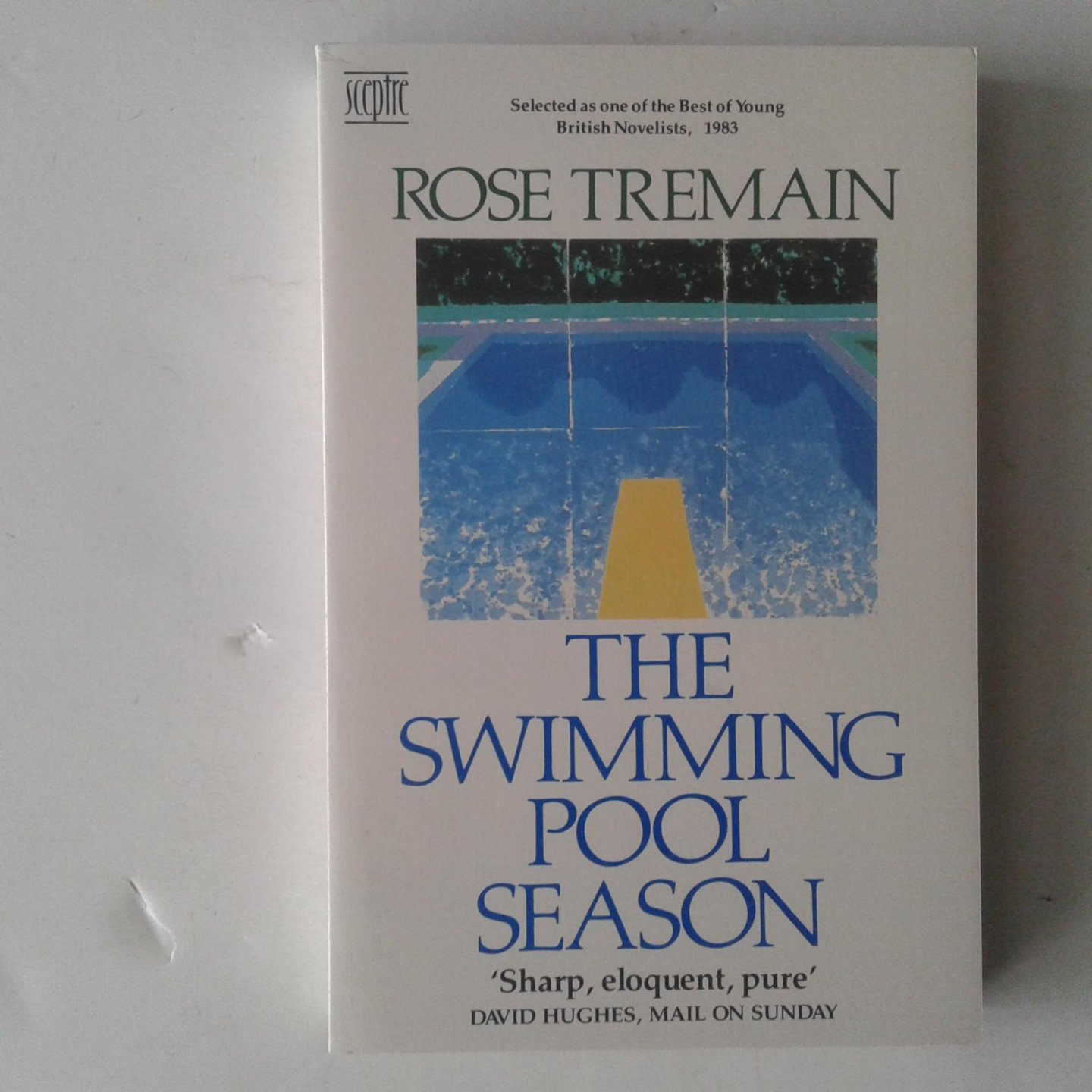 Tremain, Rose - Swimming Pool Season