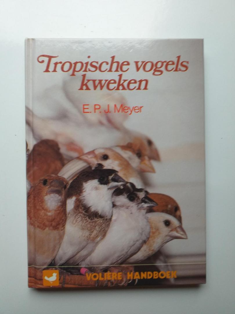 Meyer, E.P.J. - Tropische vogels kweken / druk 1