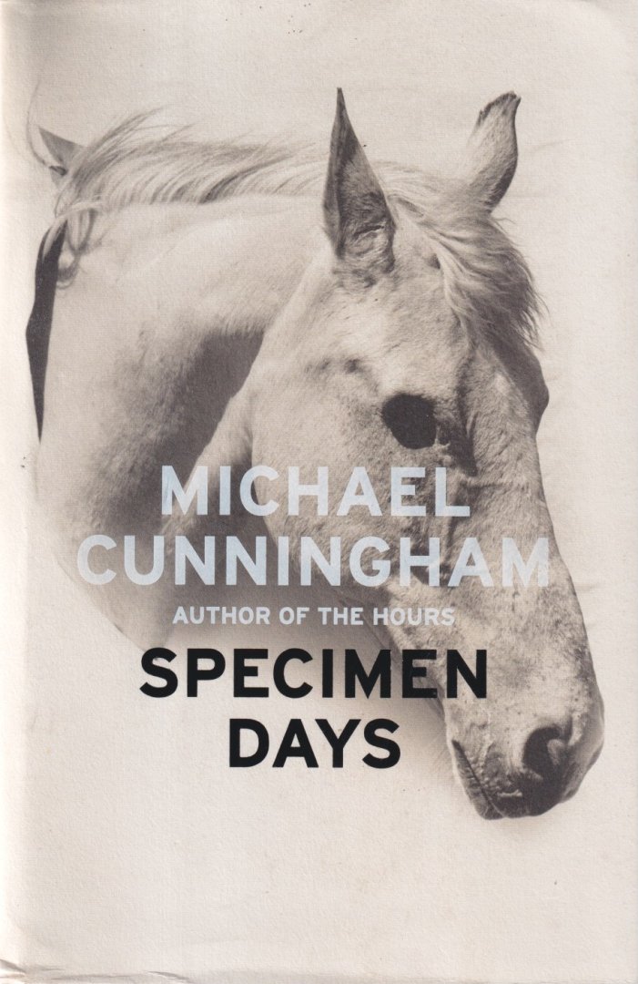 Cunningham, Michael - Specimen Days
