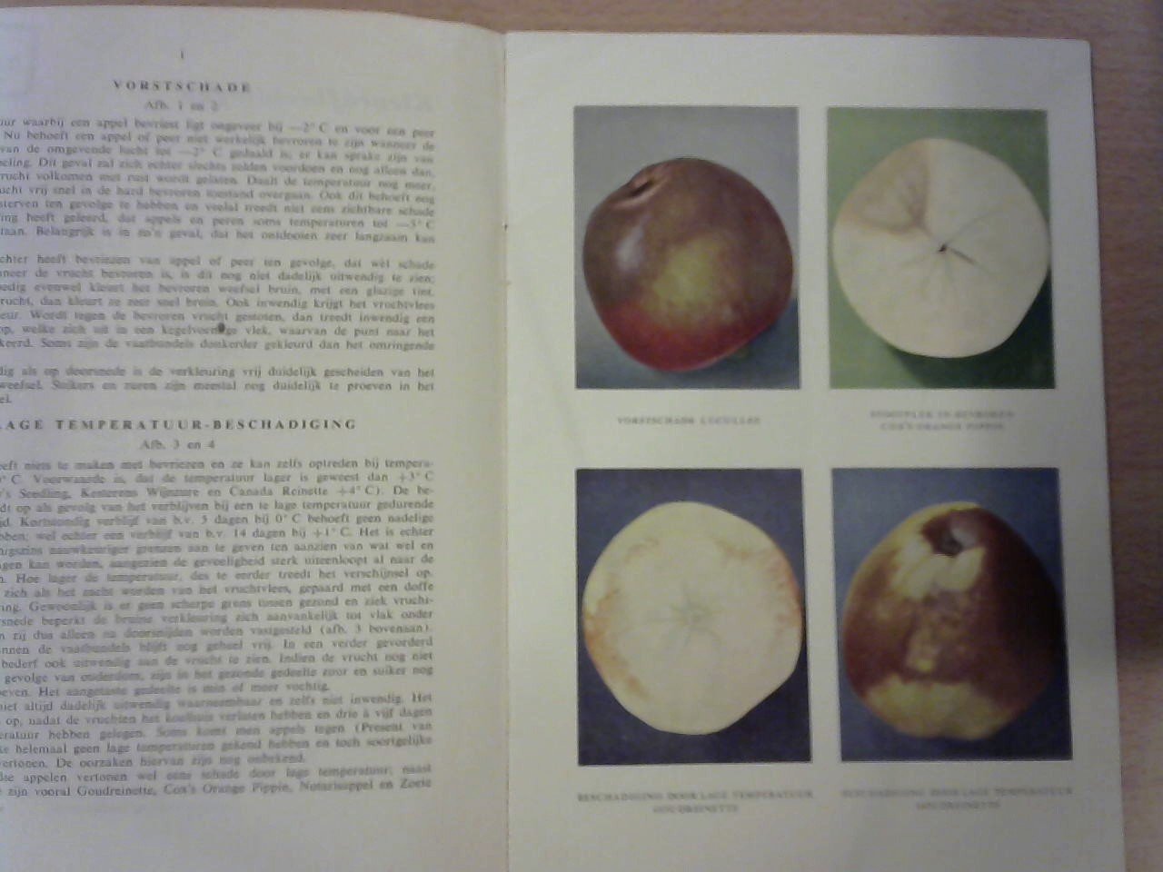 Ministerie van Landbouw - Kleurafbeeldingen van Bewaarziekten bij Fruit
