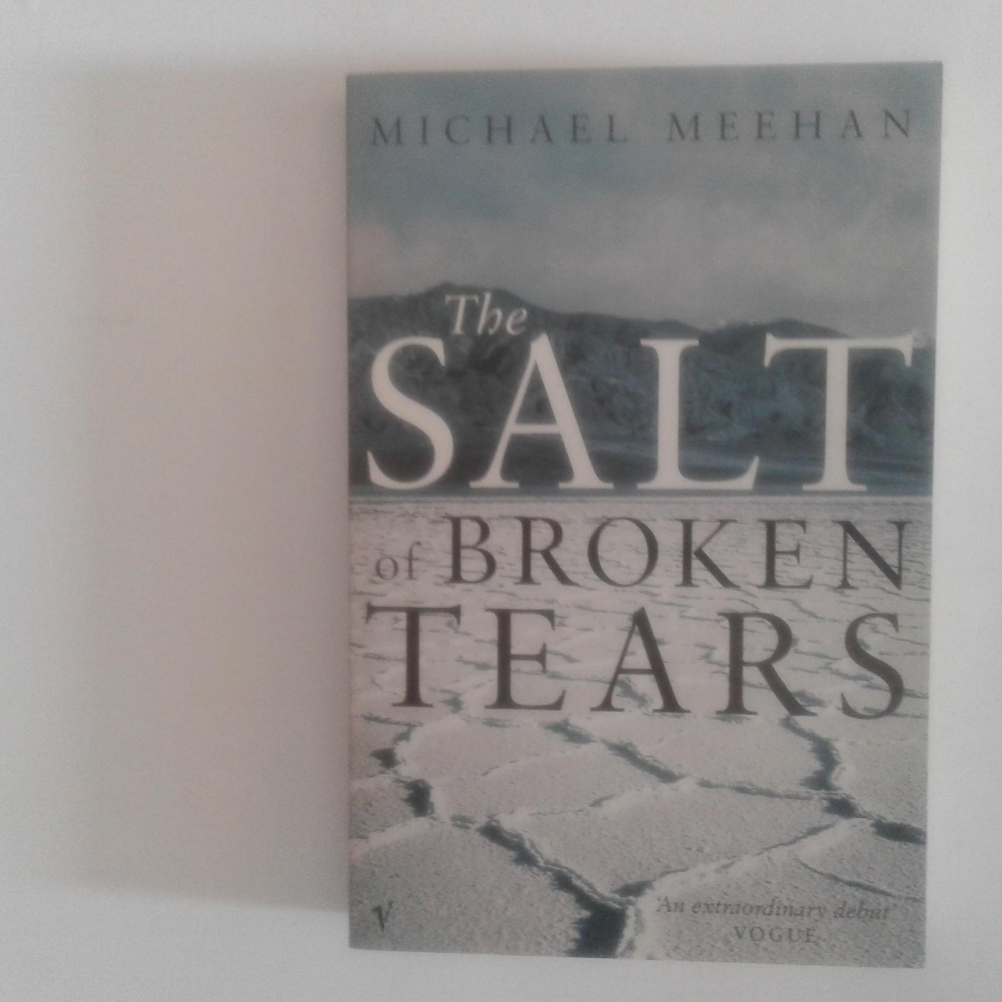 Meehan, Michael - The Salt of Broken Tears