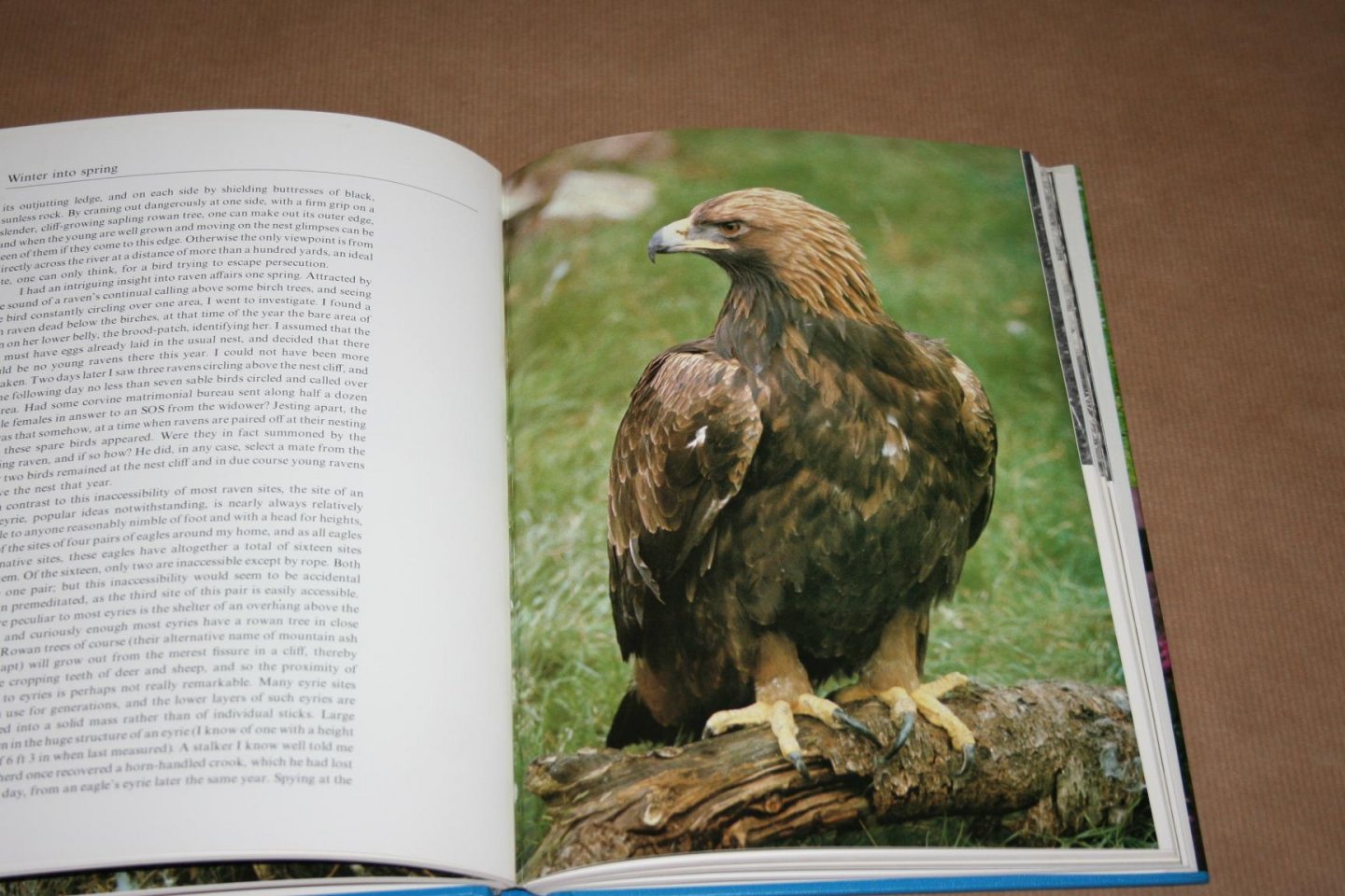 Lea MacNally - Highland Year    (Schotse Hooglanden)
