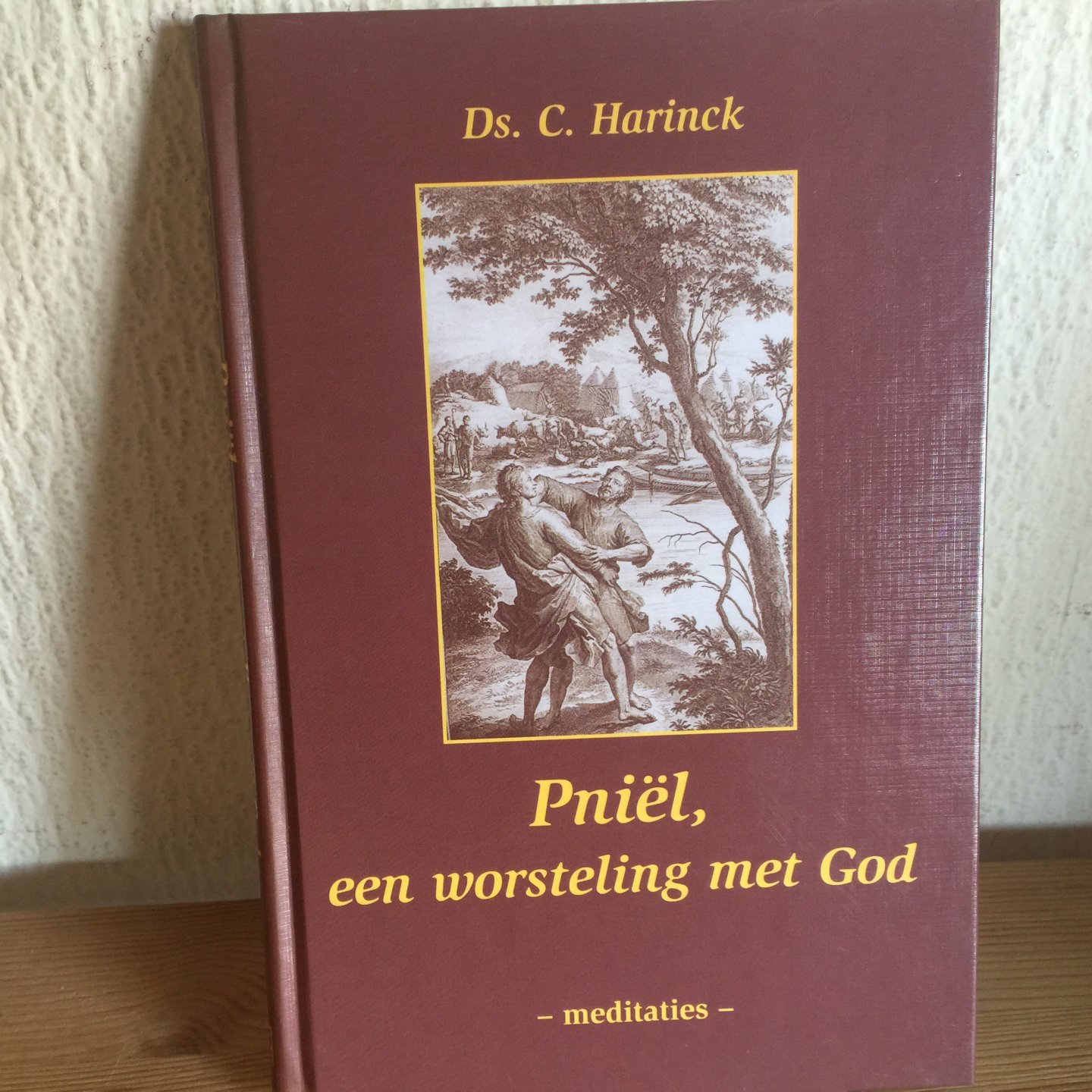 Harinck, C. - Pniel, een worsteling met God / druk 1