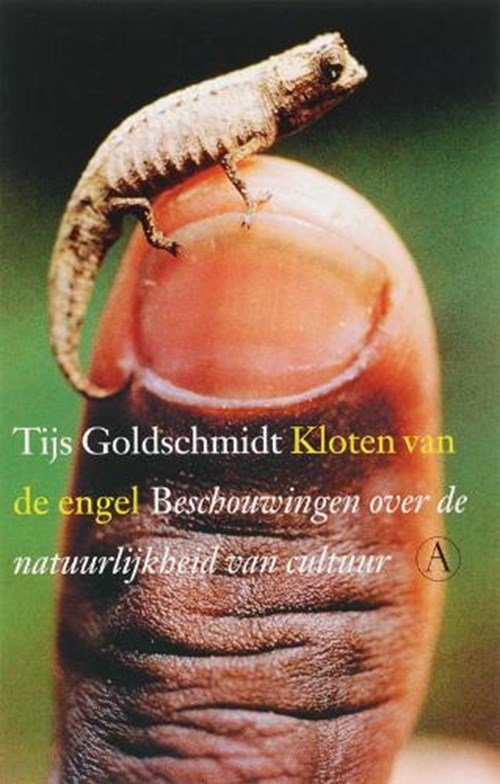 Tijs Goldschmidt - Kloten van de engel