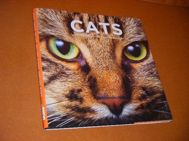 Procter and Gamble International Operations SA. - Cats. Katzen, Chats, Katten, Gatos, Kowkn, Kocky