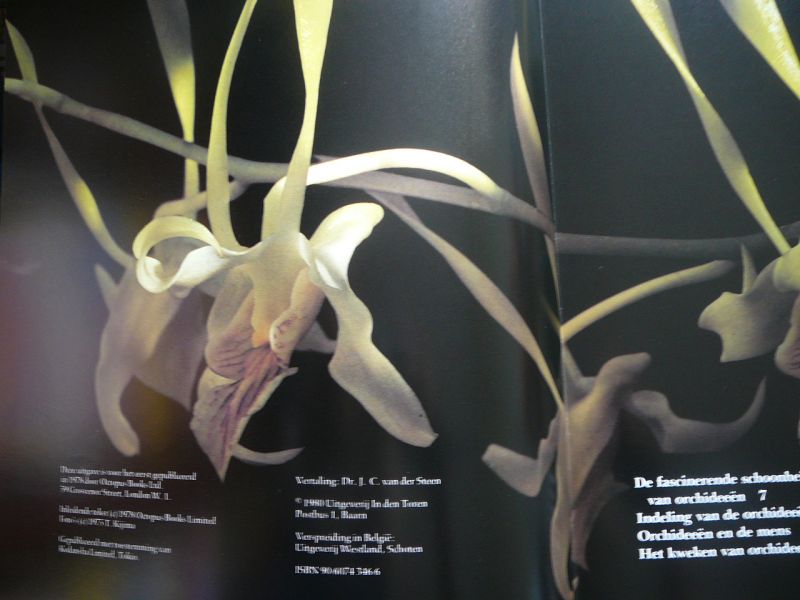 Hunt - Schoonheid van orchideeen