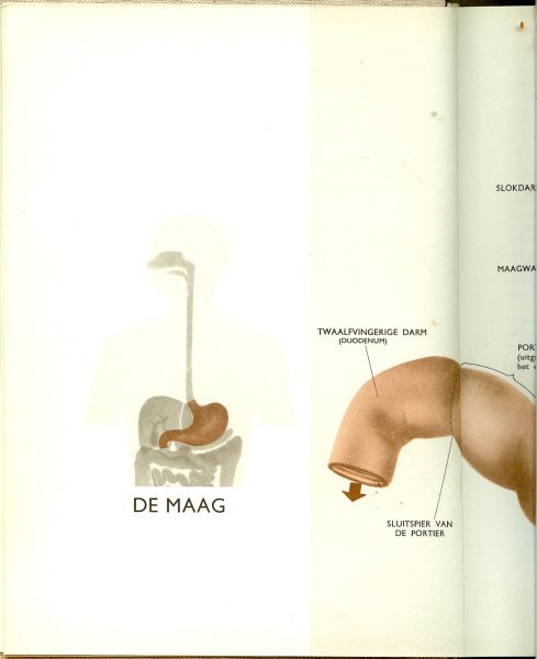 De redacteuren van  Het beste uit  The Reader`s Digest  Richard Carter en Paul Kruif - Het wonder van het menselijk lichaam. Wat het is, hoe het werkt, en hoe het gezond kan blijven. Eerste deel