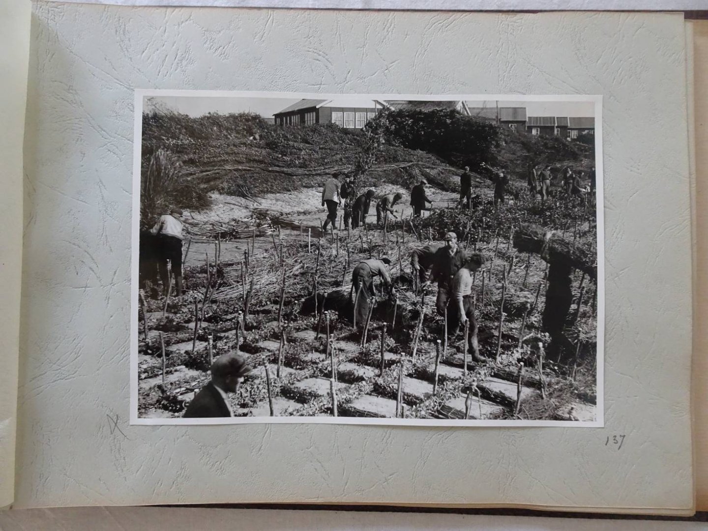 N.n.. - Dijkdoorbraak Zeeland 1953 en herstel. Fotoboek.