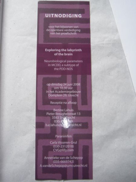 Lahuis, B. - Exploring the labyrinth of the brain