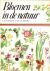 Nicholson, BE/ S Ary/  M. Gregory - Nicholson, BE Titel:	Bloemen in de natuu