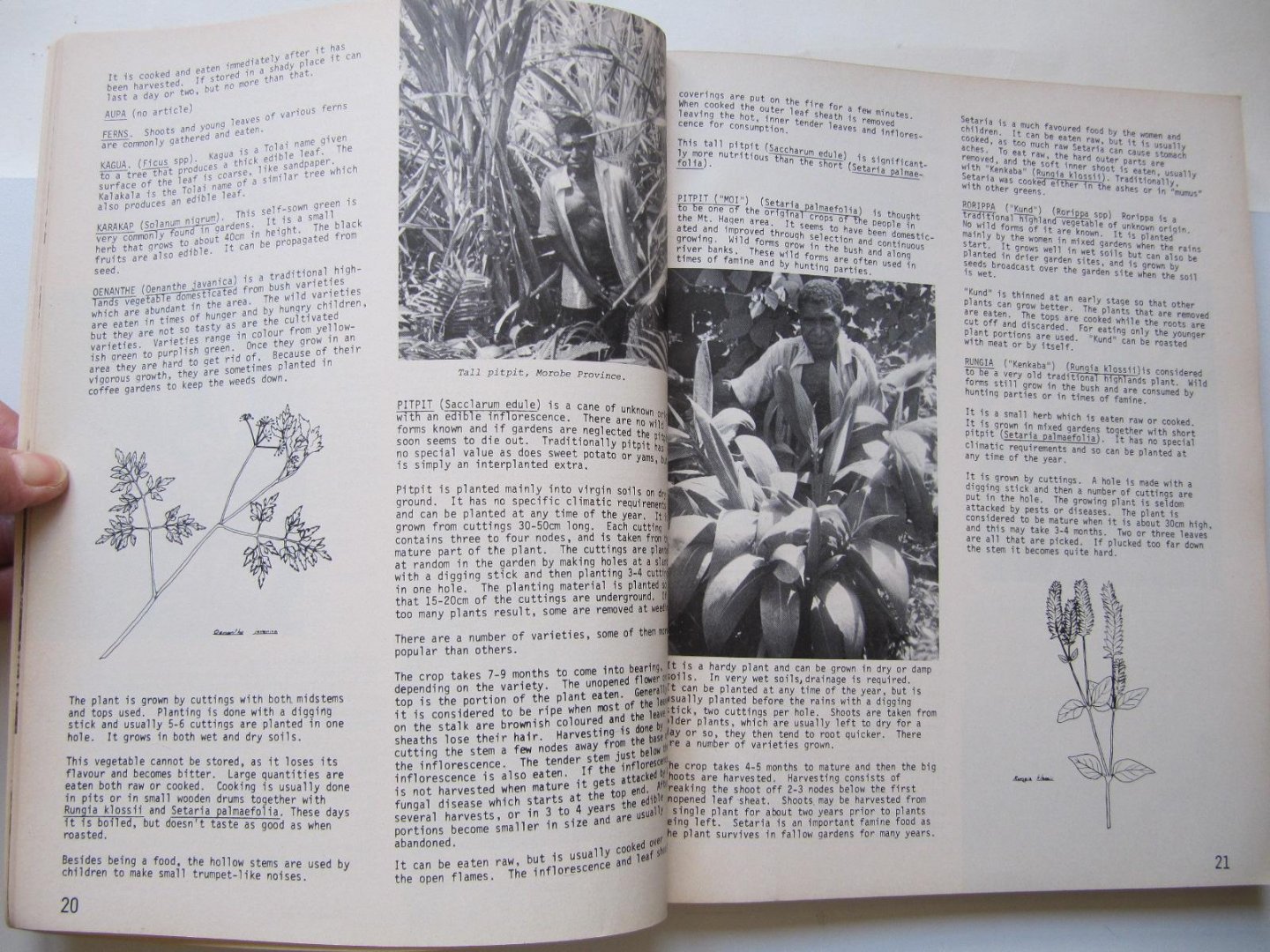 P.R. Hale and B.D. Williams - Liklik Buk, A rural Development Handbook Catalogue for Papua New Guinea