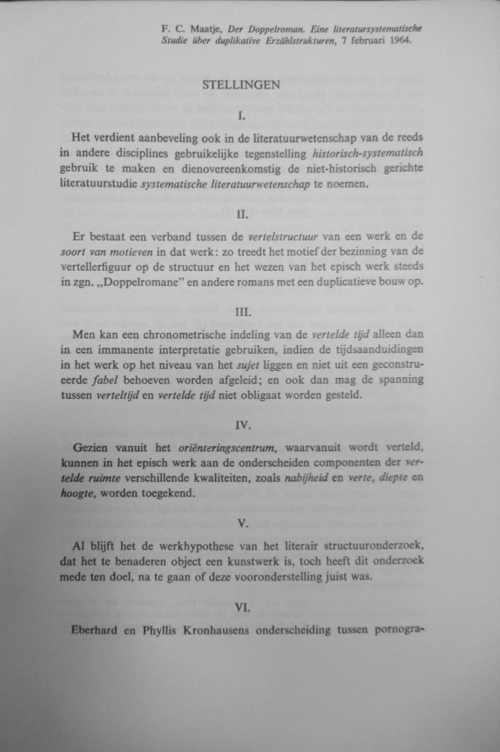 Maatje. F.C. - Der Doppelroman. Eine Literatursystematische Studie uber duplicative Erzahlstrukturen