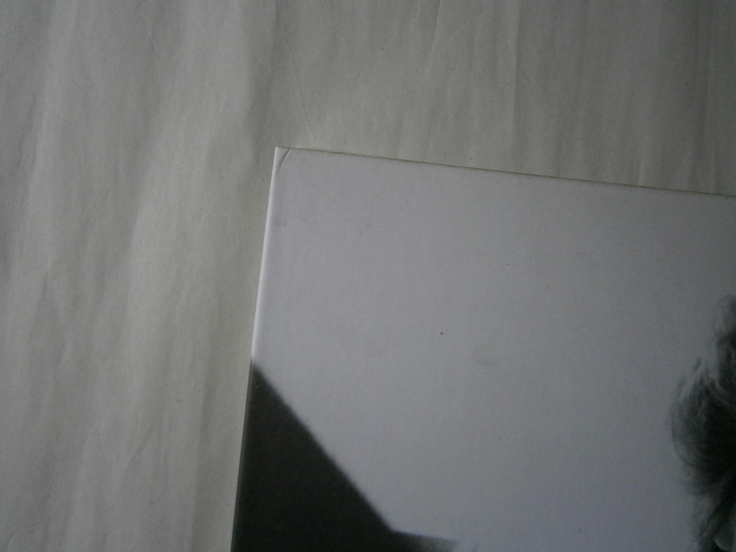 Gnocchi, Didi - E DePadova 50 years of design