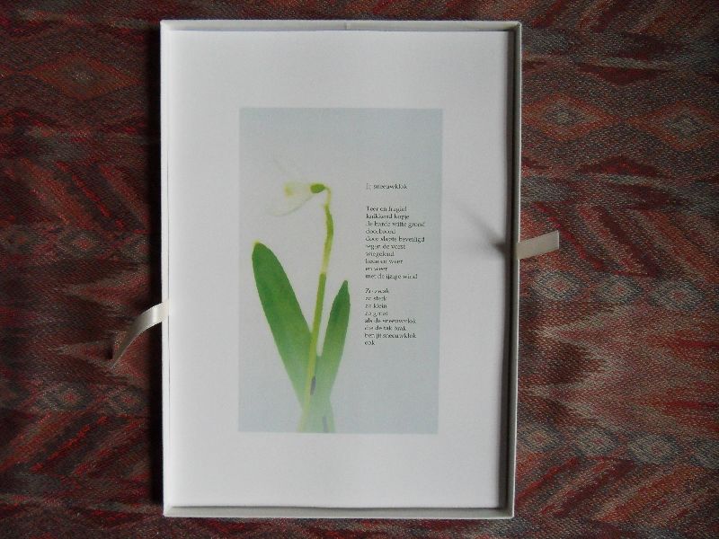 Raanhuis, Angela (gedichten); Sleutel, Peter (beelden). - Liaison. --- 25 gedichten/beelden, o.a. Jij sneeuwvlok, Zangeres, Vlinders, Liaison, e.a. Bep. oplage van 850 ex. Losbladig, ieder gedicht met kleurenafbeelding op kunstdrukpapier (A4-form.). Compleet in originele kartonnen doos.