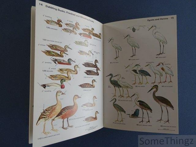 Pizzey, Graham; - A field guide to the Birds of Australia