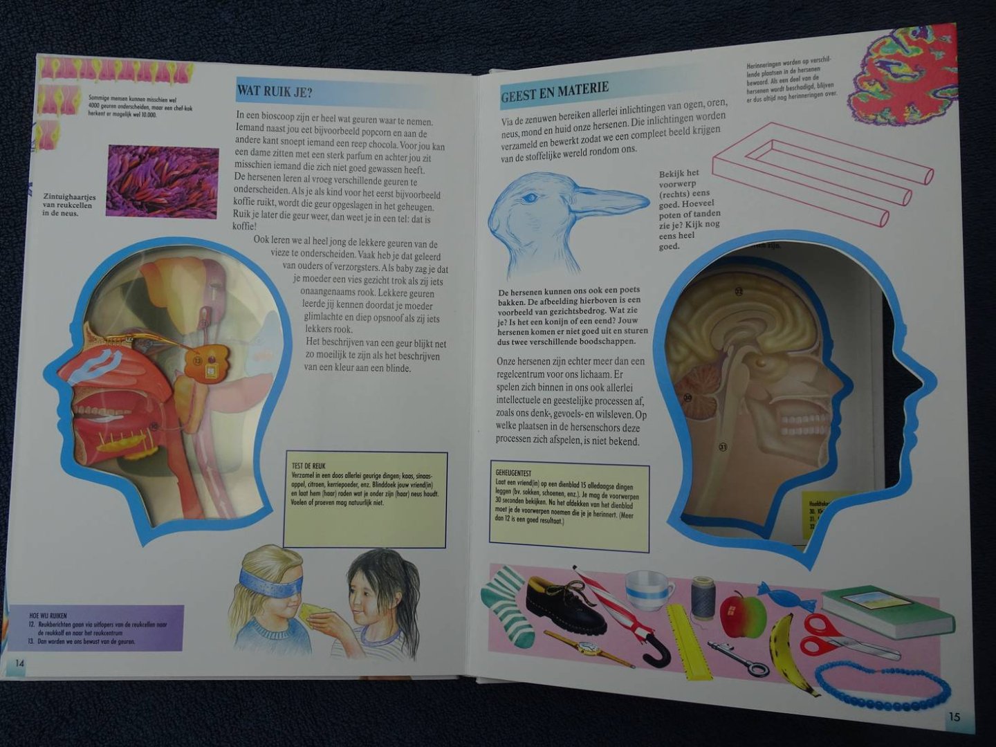 Bryan, Jenny. - Het wonder van de hersenen. Een fascinerend "doorkijk"-boek over de menselijke hersenen.