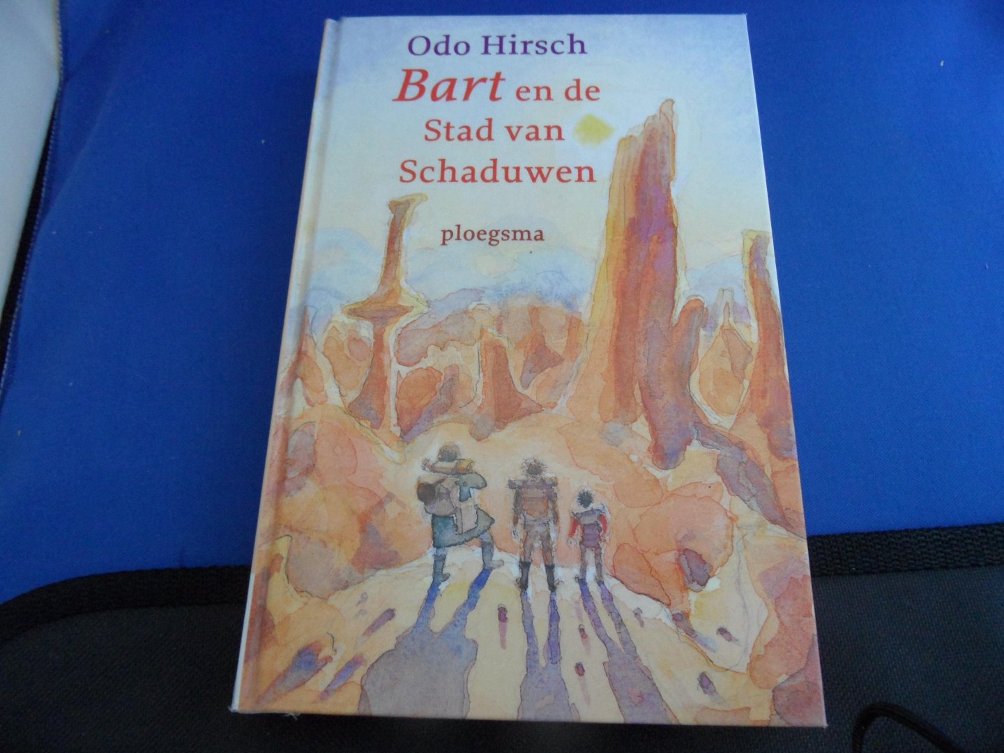 Hirsch, Odo - Bart en de stad van schaduwen