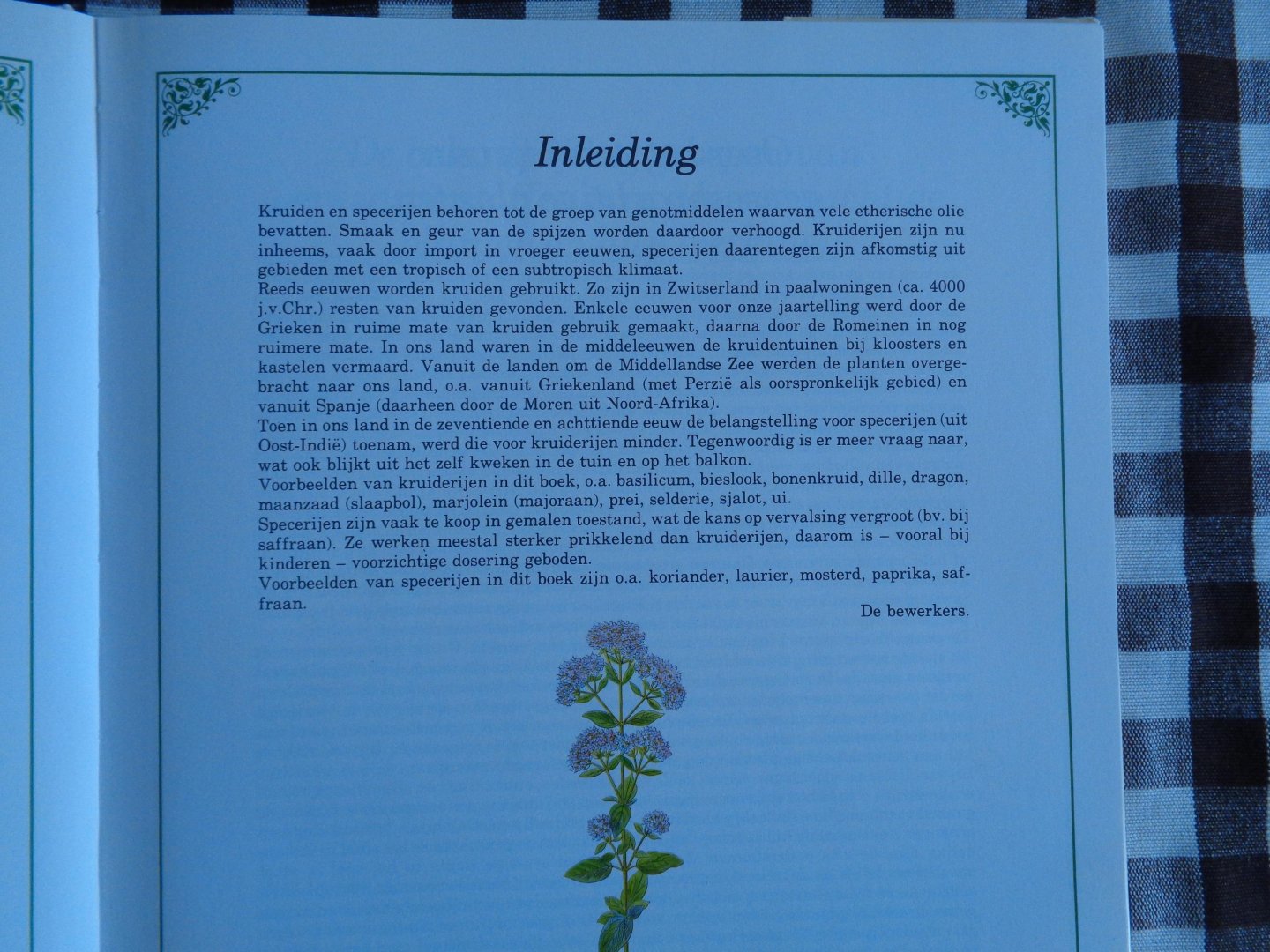 Fluck - Kruiden allerlei