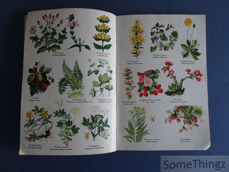 Kunzlé, Jean. - Atlas de plantes médicinales d'après 'Bonnes et mauvaises herbes' du Curé herboriste Jean Kunzlé à Zizers. 100 plantes médicinales reproduites en couleurs d'apres nature.