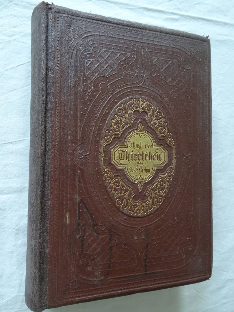 Brehm, A.F.. - Brehms Thierleben. Allgemeine Kunde des Thierreichs. Mit Abbildungen, ausgeführt unter Leitung von R. Kretschmer. Zweiter Band.