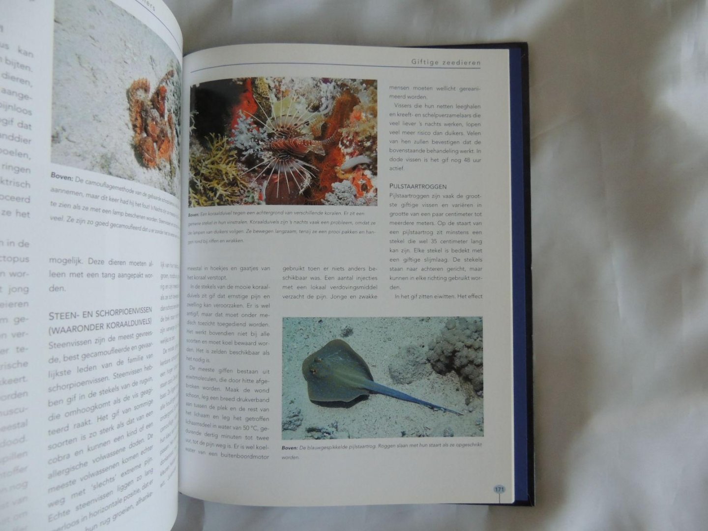 Jackson, Jack - Handboek duiken. Techniek, materiaal en onderhoud, nachtduiken, fotografie, archeologie.