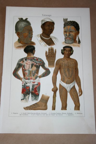  - Antieke kleuren lithografie - Tatoeage v/h menselijk lichaam - circa 1905