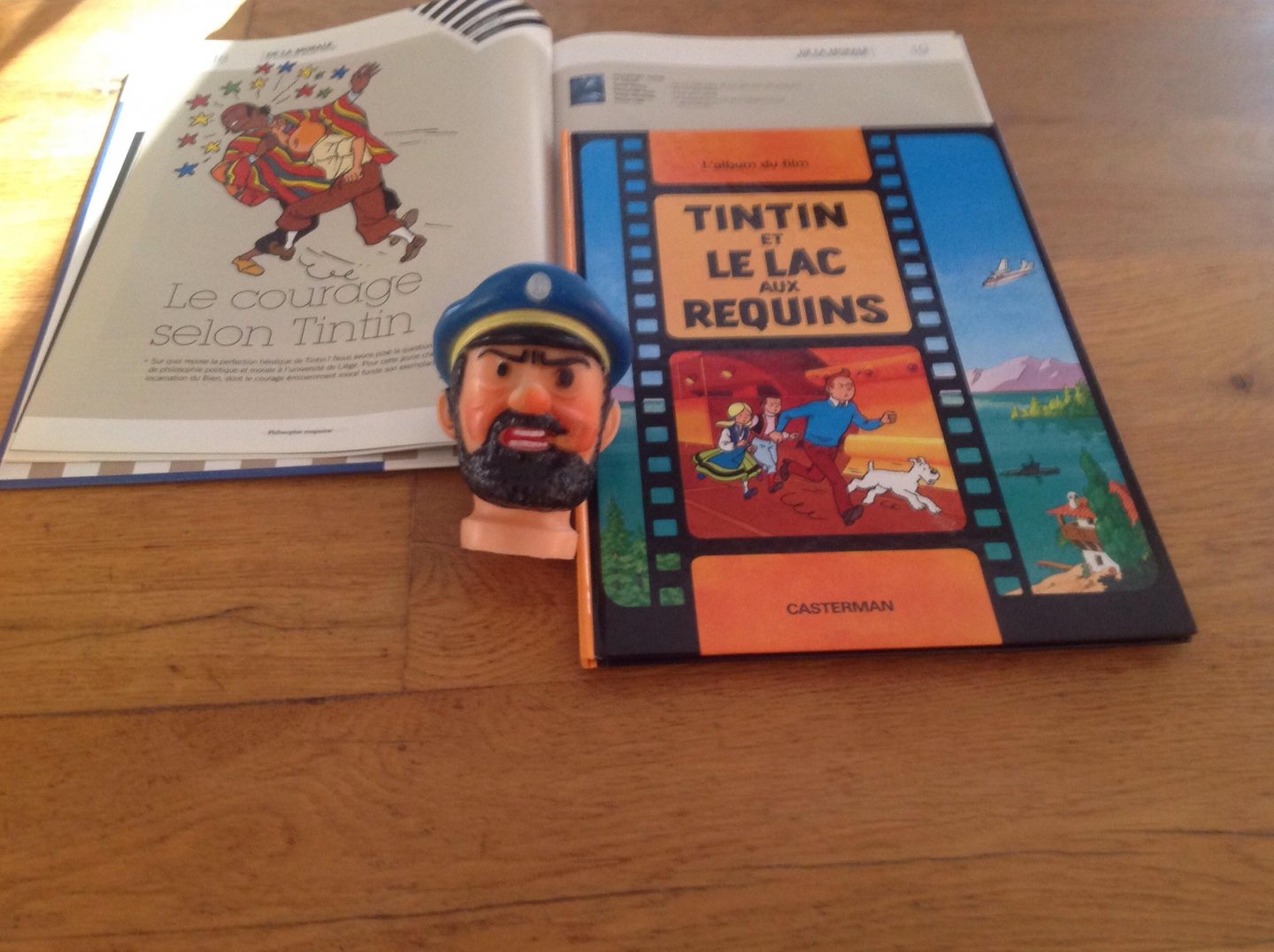 Meerdere auteurs - Tintin au Pays des Philosophes