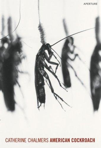 CHALMERS,  CATHERINE ; LYALL WATSON. - American Cockroach.