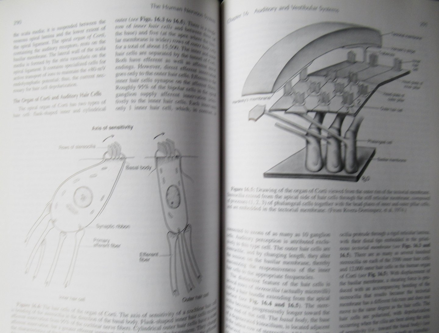 Noback, Charles R. - The Human Nervous System / Structure and Function