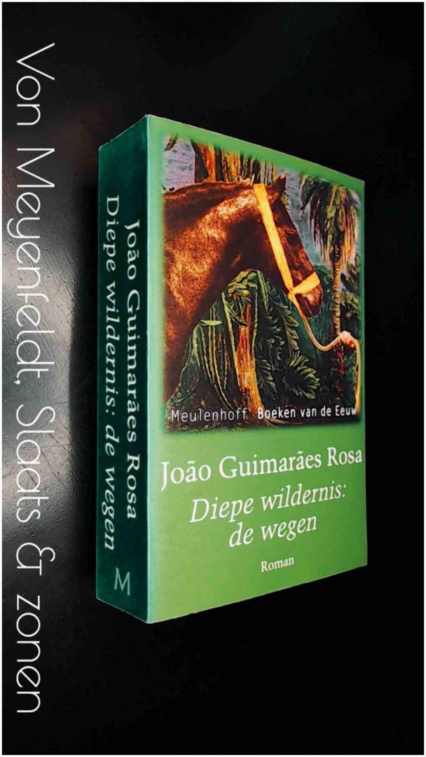 Guimaraes Rosa, Joao - Diepe wildernis: de wegen