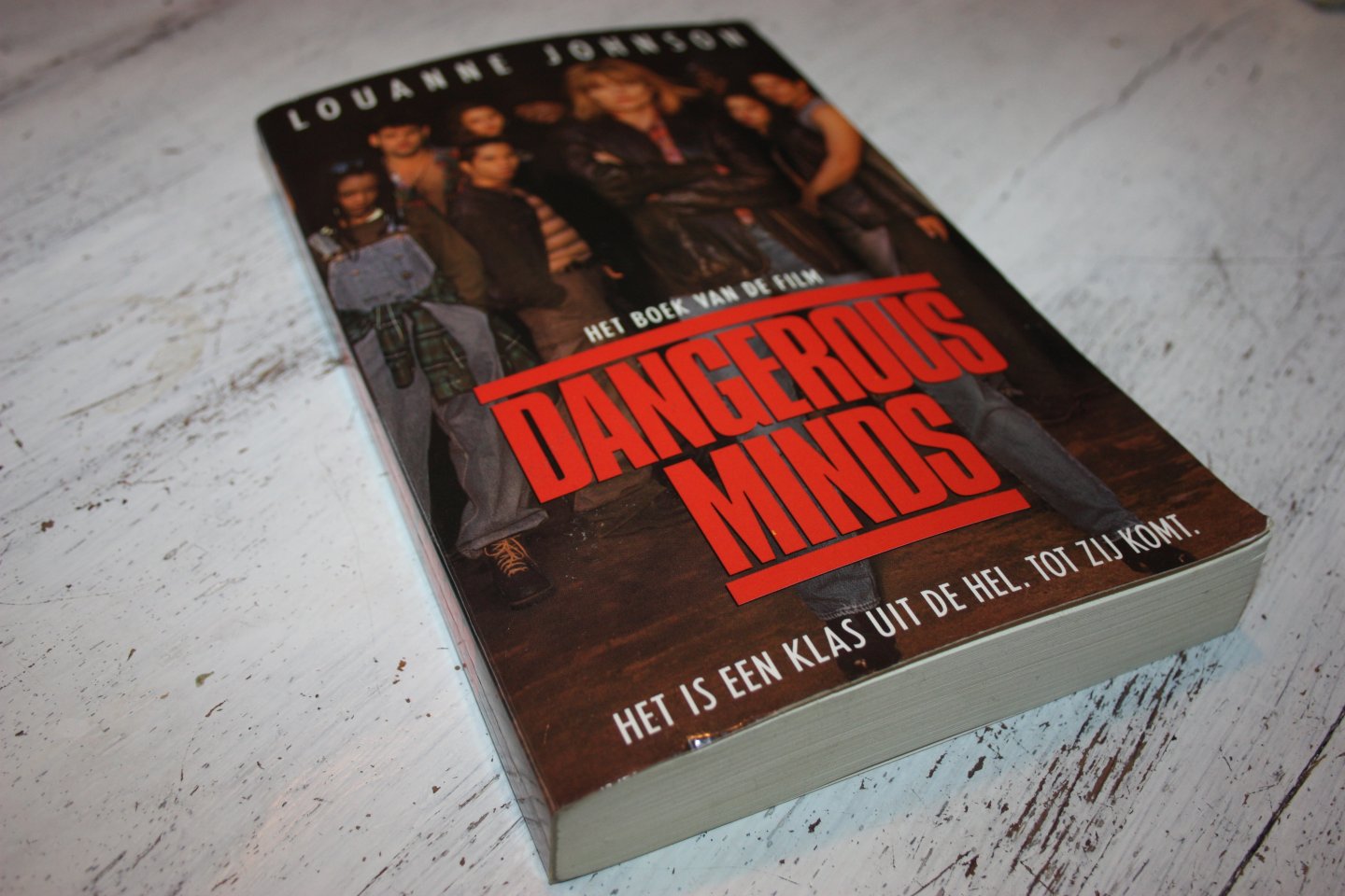 Johnson, Louanne - Boek van de film: DANGEROUS MINDS