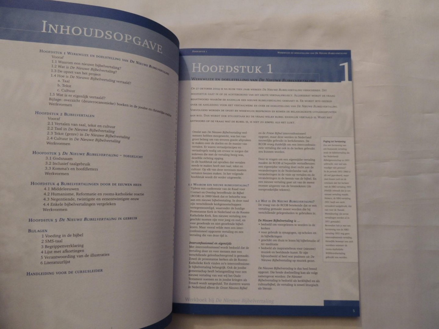 Berg, Anne Jaap van den - Kijken in een wazige spiegel - Werkboek bij de Nieuwe Bijbelvertaling