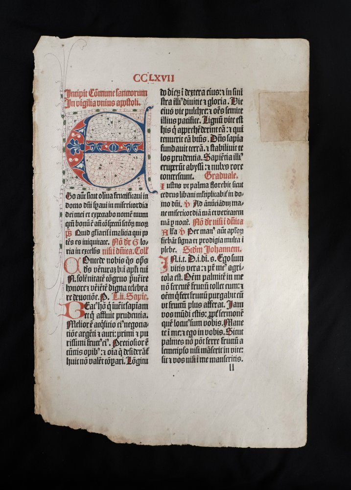  - Leaf from Missale Coloniense 1487 CCLXVII