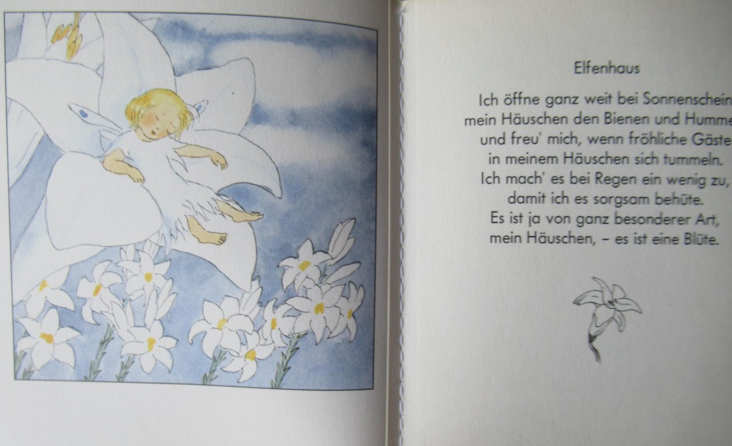 Bohatta, Ida - Elfchen