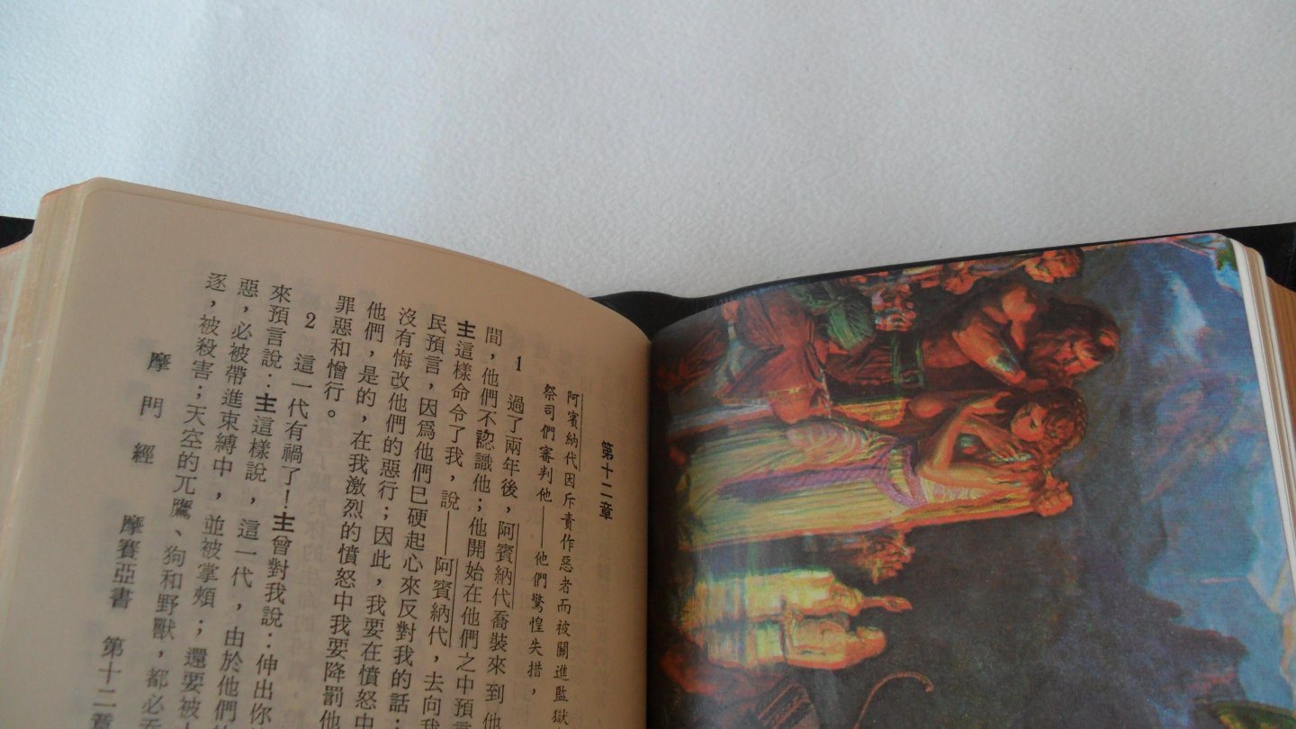  - Chinese Bijbel ( chinese bible)