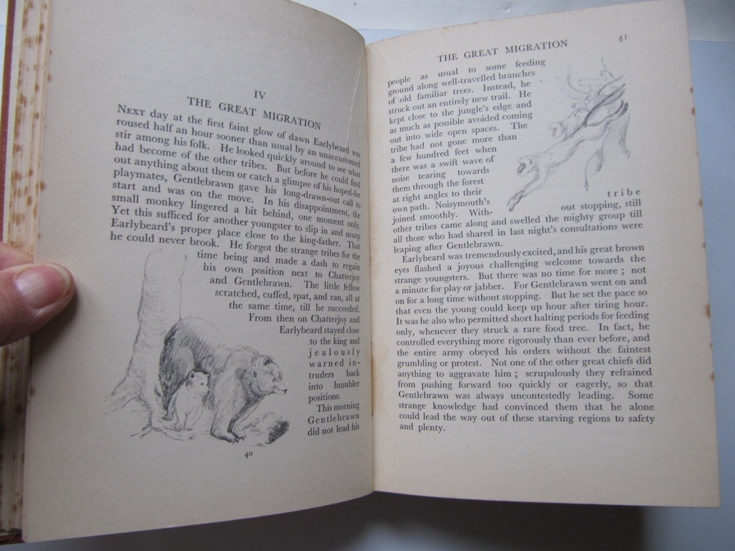 Frieda Hauswirth Das - Leap-Home and Gentlebrawn