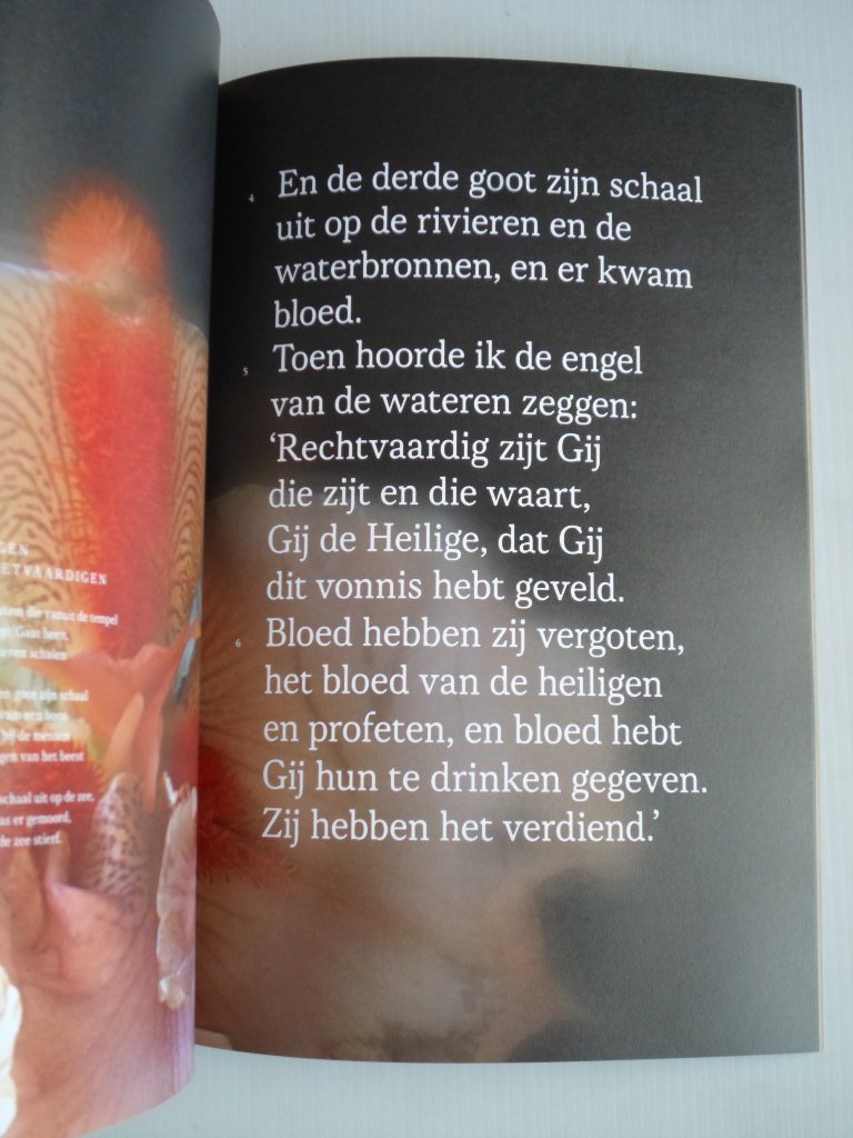 Mulders, Marc - Apokalyps