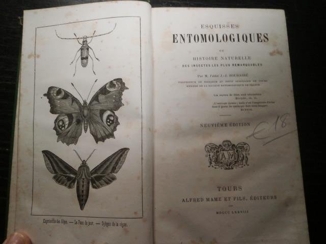 M. l'abbé J.-J. Bourassé - Esquisses entomologiques ou histoire naturelle des insectes les plus remaquables