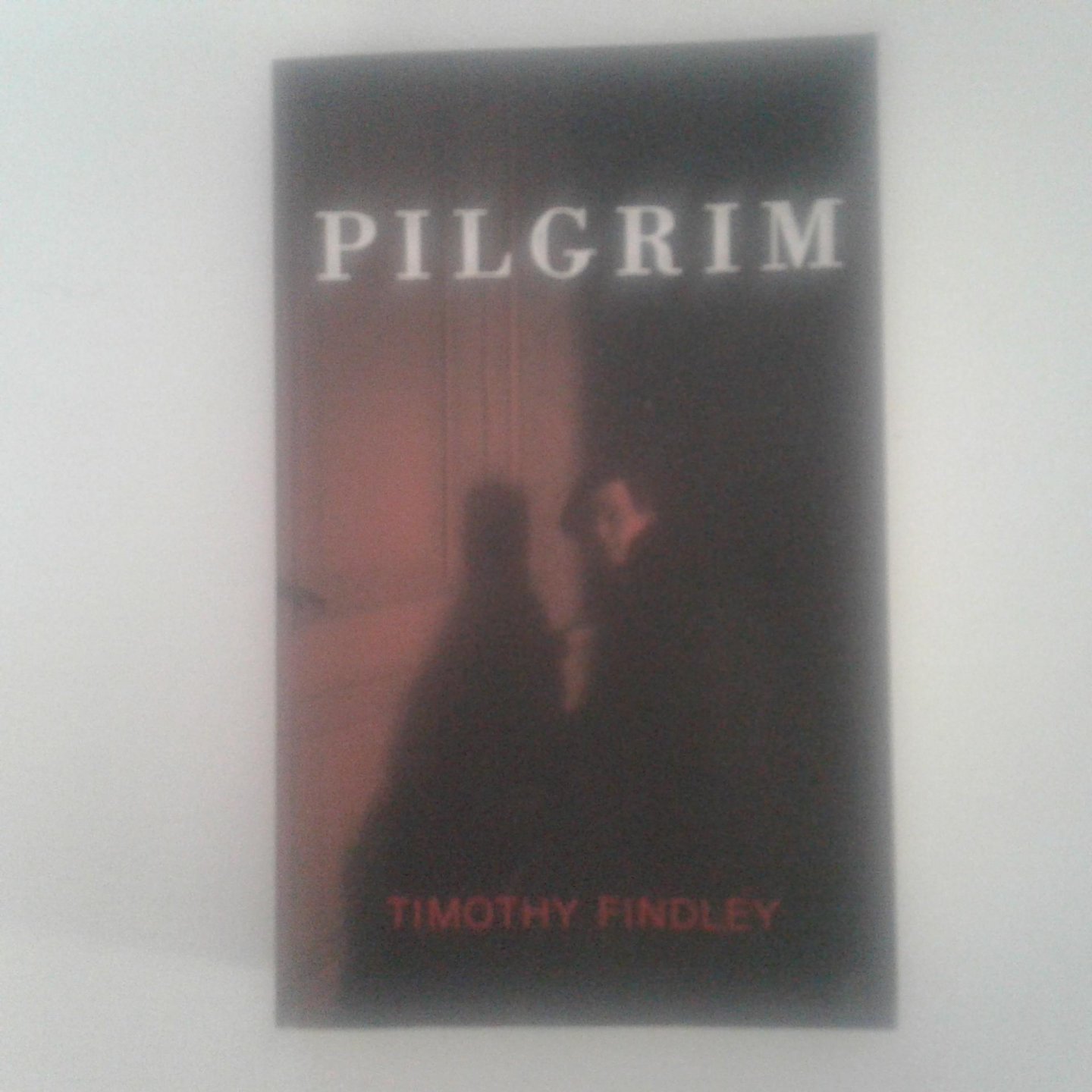 Findley, Timothy - Pilgrim