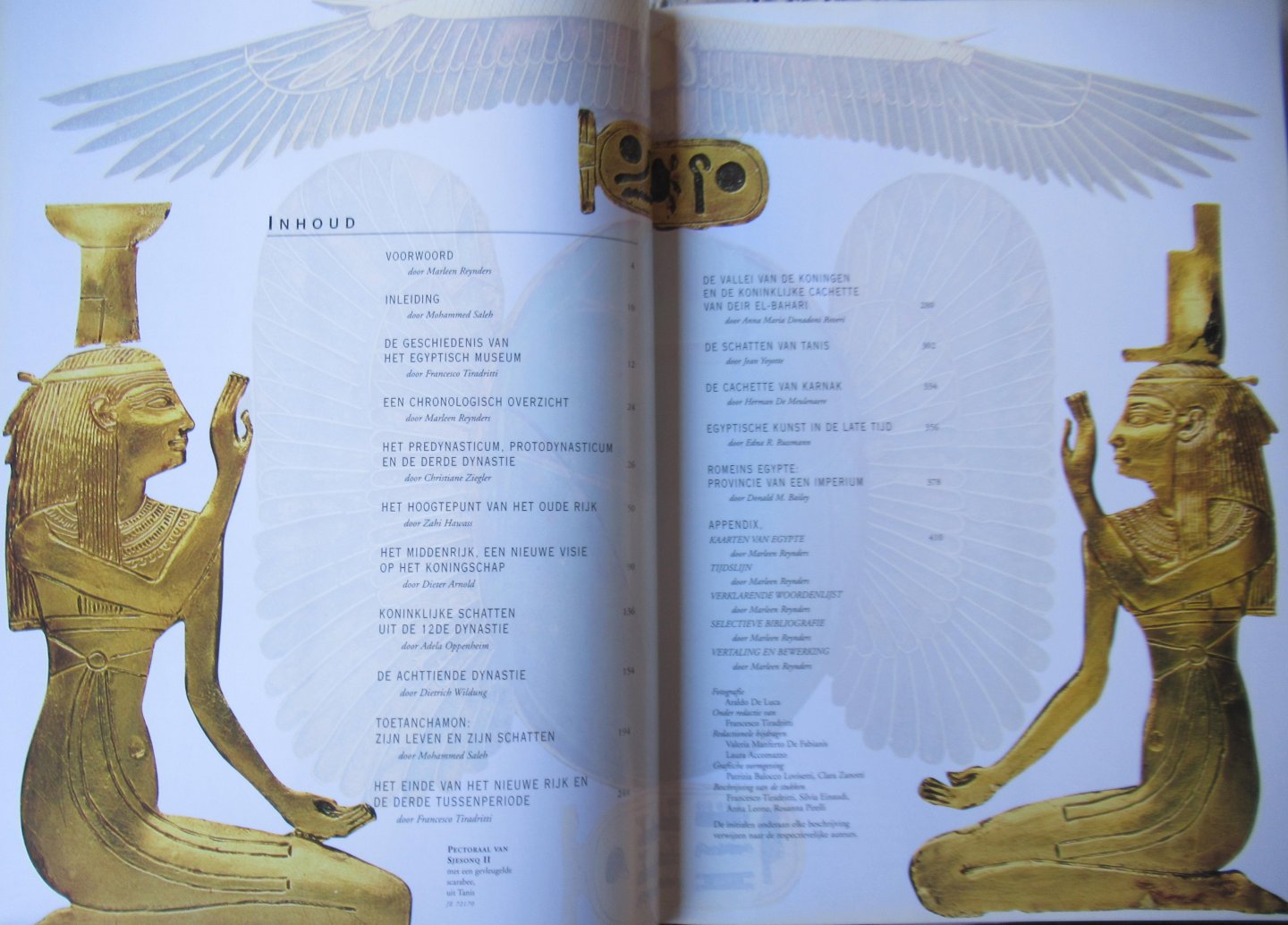 Tiradritti, Francesco - Luca, de Araldo - Kunstschatten uit Egypte