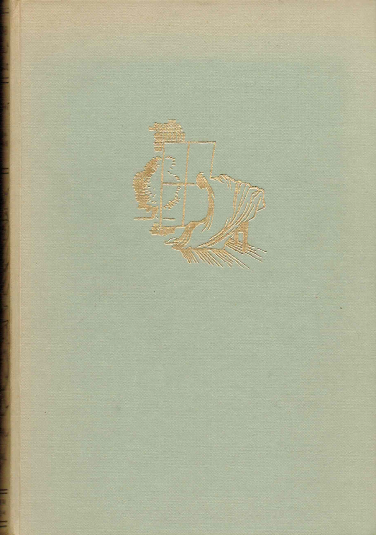 Chamberlain, George Agnew - Midnight Boy: Het Geheimzinnige Huis