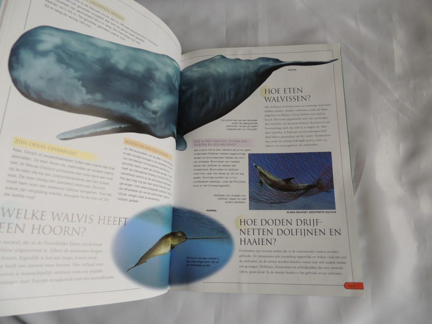 John Farndon; David Ashby - Dieren vragen & en antwoorden