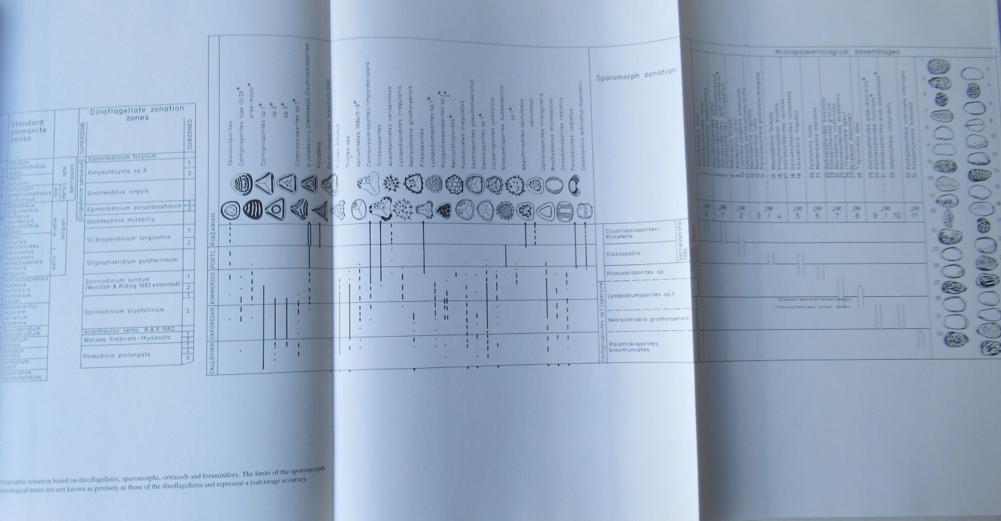 Linden van der W.J.M. e.a. - Coastal Lowlands. Geology and geotechnology
