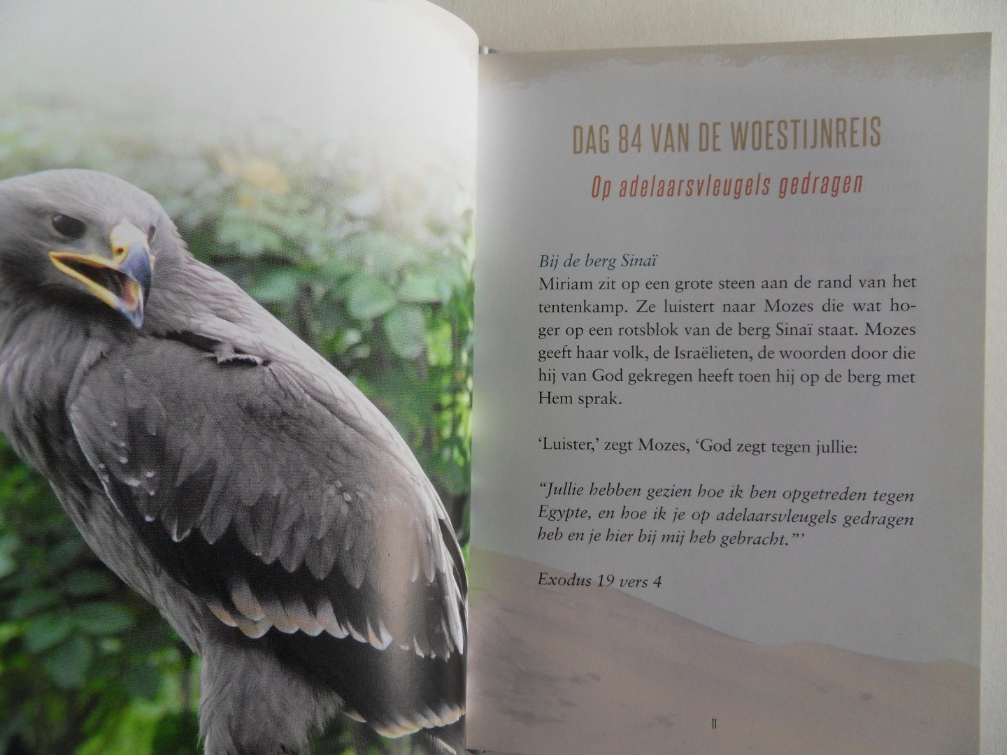 Reuver, Marike de. - Ik draag je.