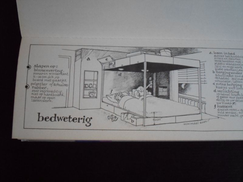 Someren, Mike + Carlo van  & Anneke Hohmann - Binnen-pret, Geef uw woonruimte een eigen gezicht!