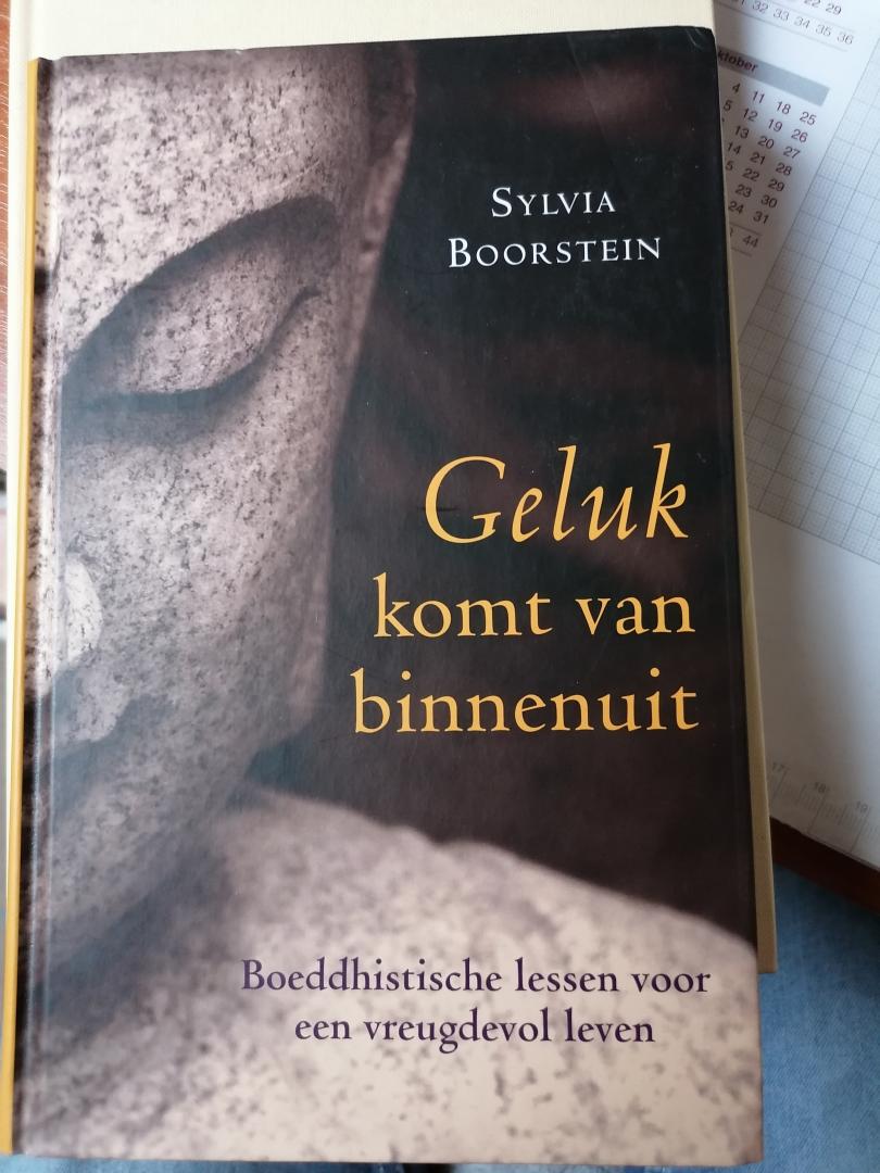 Boorstein, Sylvia - Geluk komt van binnenuit / Boeddistische lessen voor een vreugdevol leven